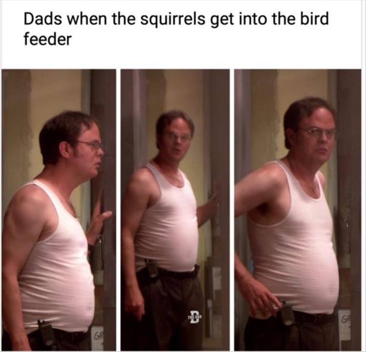 Best Memes Of The Week