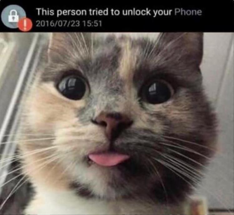 Cutest Animals