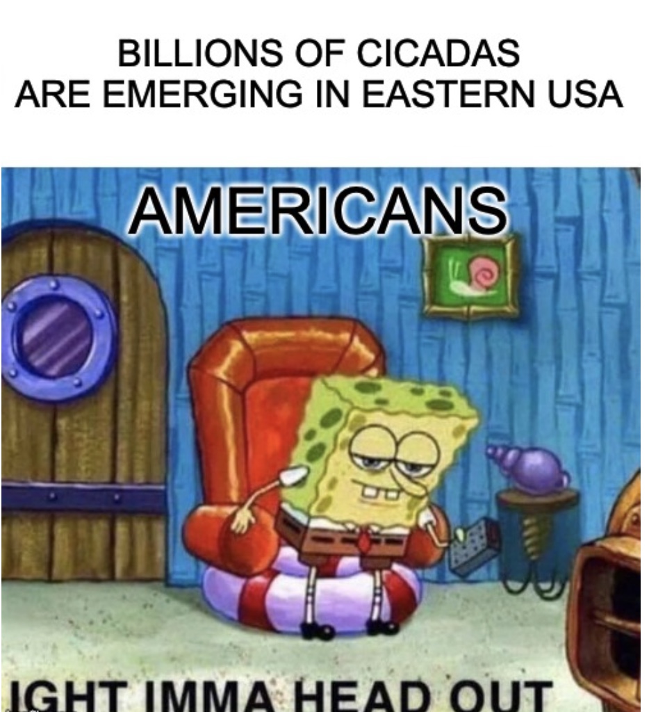 Billions Of Cicadas Emerging Meme
