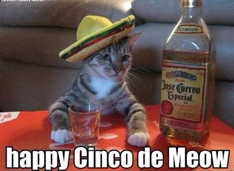 15 Hilarious Cinco De Mayo Memes 15 Hilarious Cinco De Mayo Memes