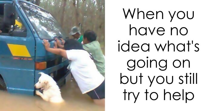 20 Cute And Funny Animal Memes You Must See 