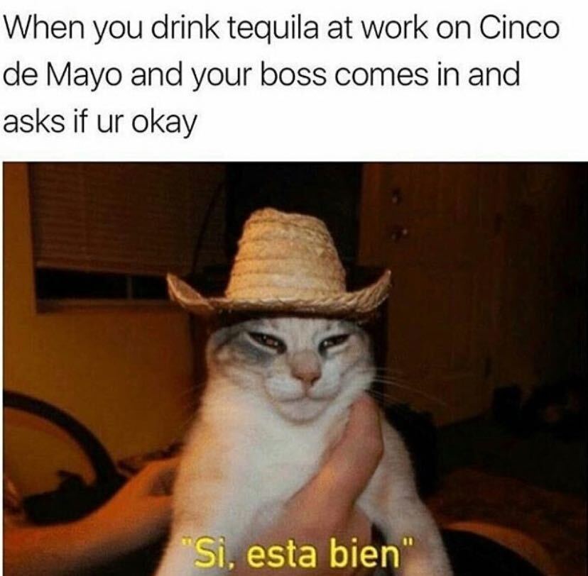 15 Hilarious Cinco De Mayo Memes 15 Hilarious Cinco De Mayo Memes