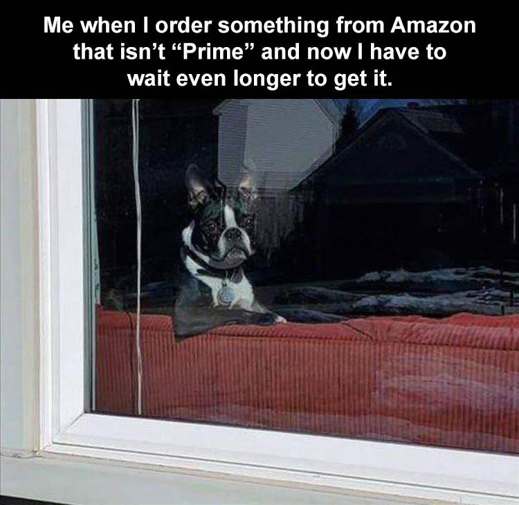 Hilarious Memes For Mothers Day