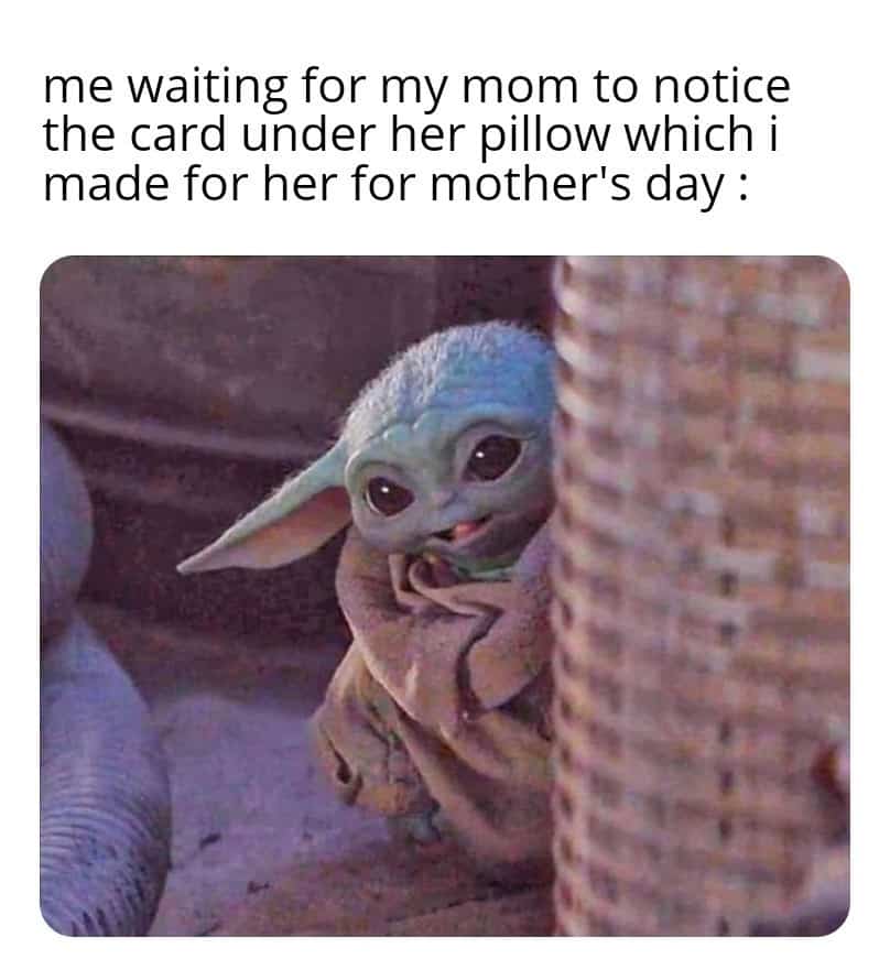20 Funny Mothers Day Memes