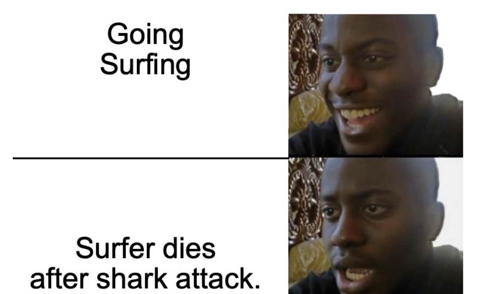 surfer dies after shark attack meme
