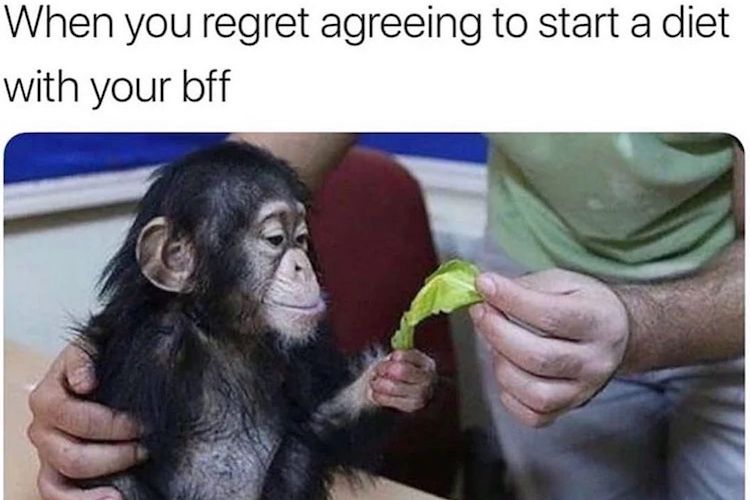 20 Hilarious Food Memes for All Food Lovers 