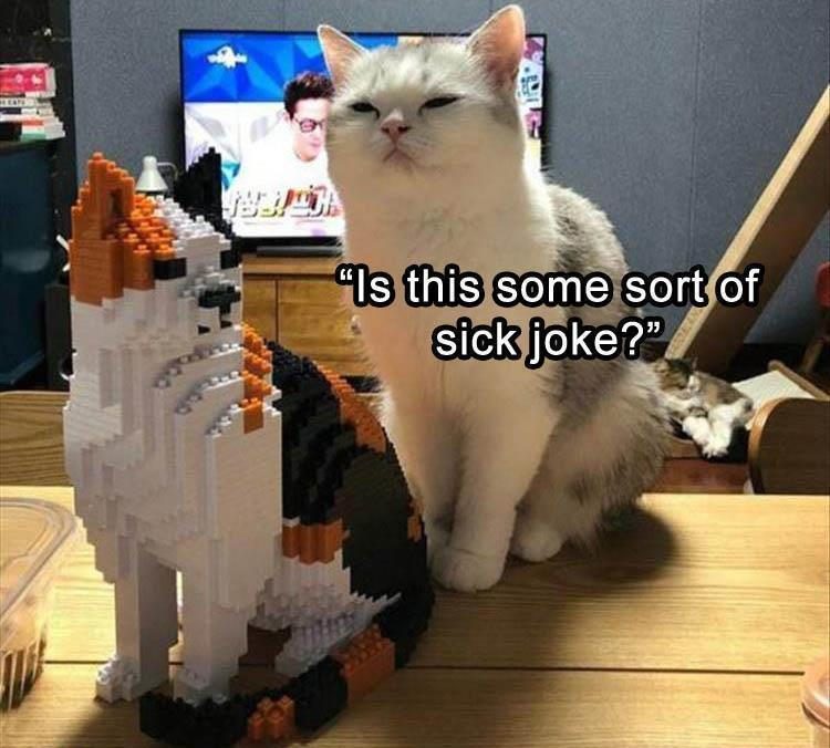 Funniest