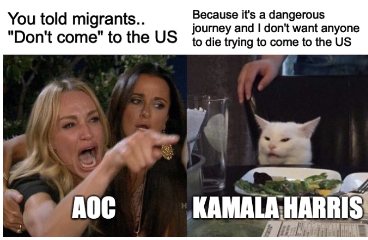 Aoc Kamala Harris Cat Fight Meme