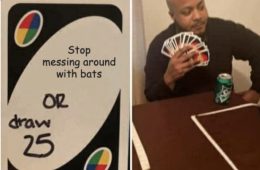 Chinese Scientists Discover New Bat Coronavirus Meme