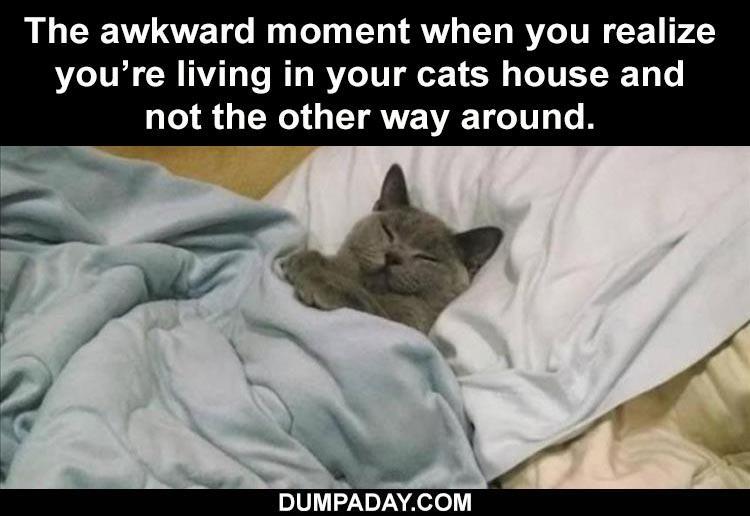 Top 34 Funny Animal Memes Of The Day 60D6Fb744C8E7