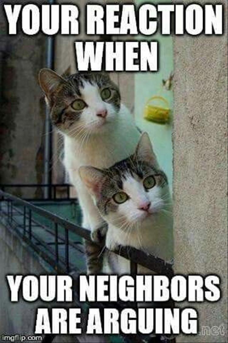 Top 34 Funny Animal Memes Of The Day 60D6Fb7F7C1Ce