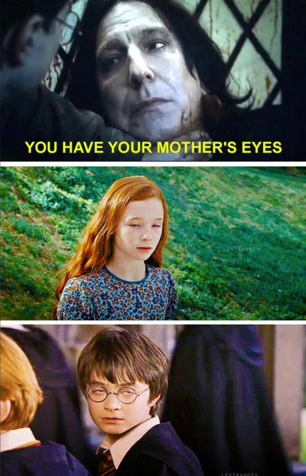 20 Funny Harry Potter Memes You Must See 