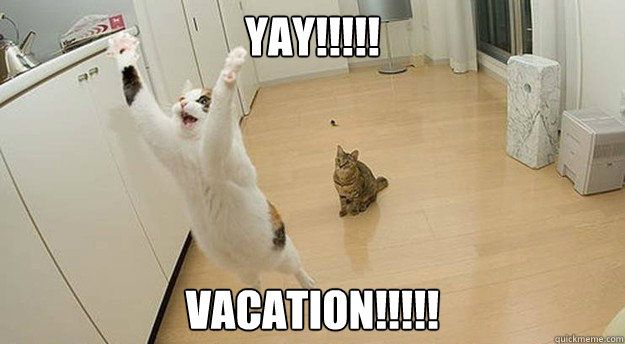 20 Of The Funniest Summer Holiday Pet Pictures