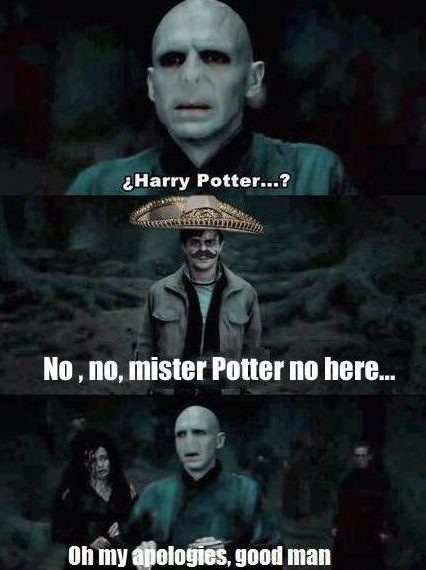 20 Funny Harry Potter Memes You Must See 