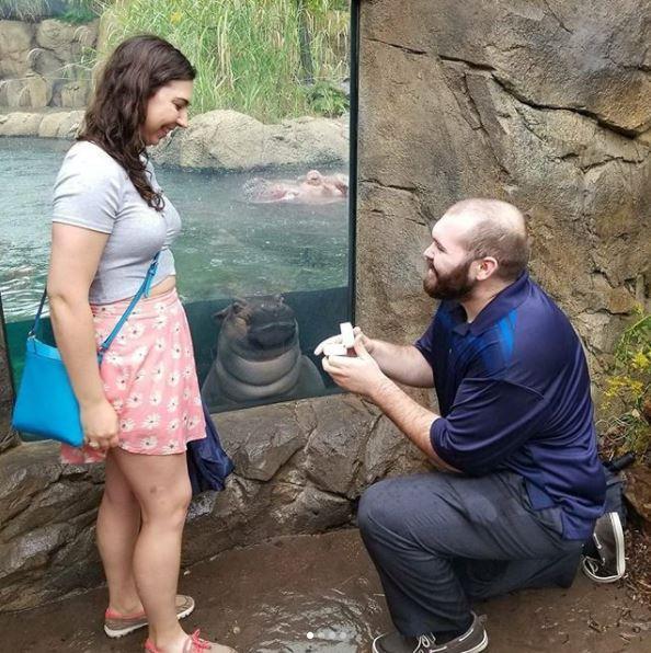 30 Awesome Photo Bombs 