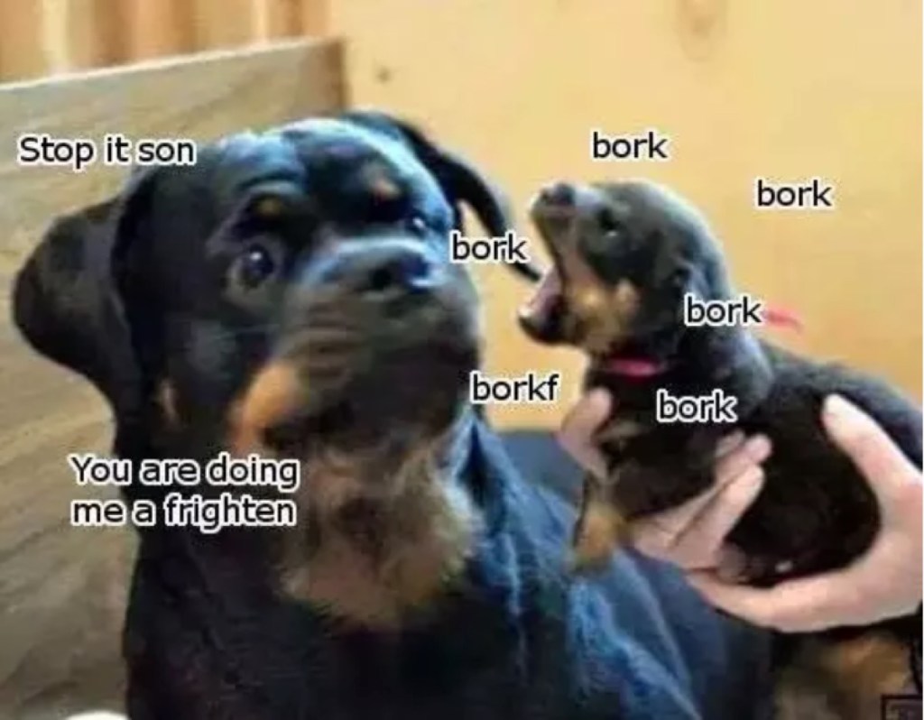 20 Cute And Funny Dog Memes For Pet Lovers
