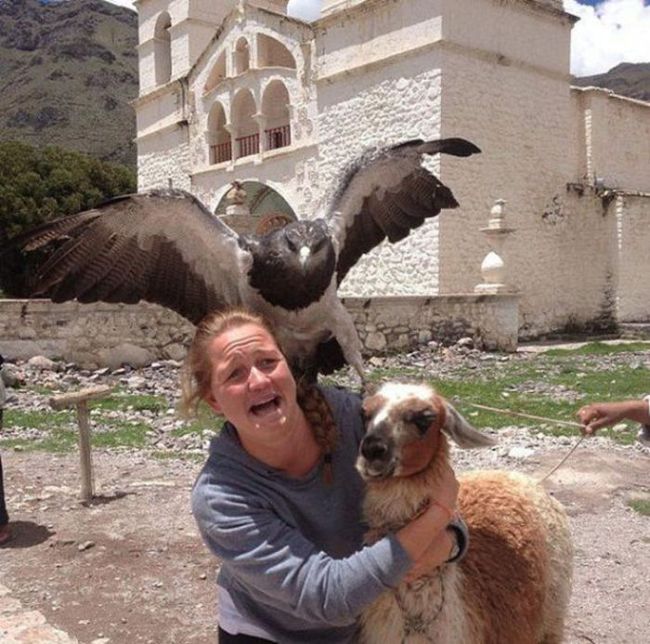 30 Awesome Photo Bombs 