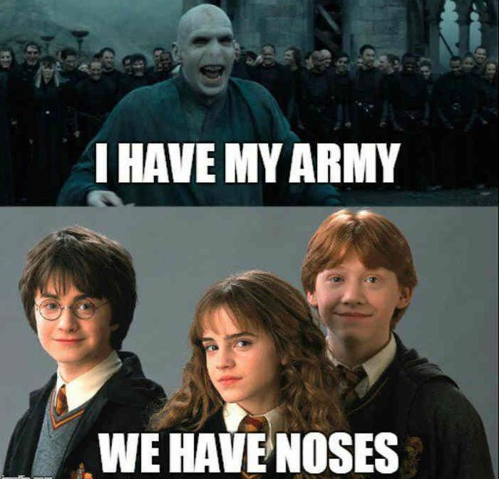 20 Funny Harry Potter Memes You Must See 