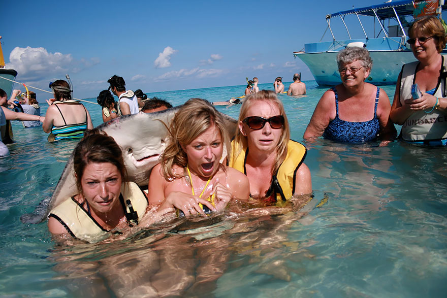 30 Awesome Photo Bombs 