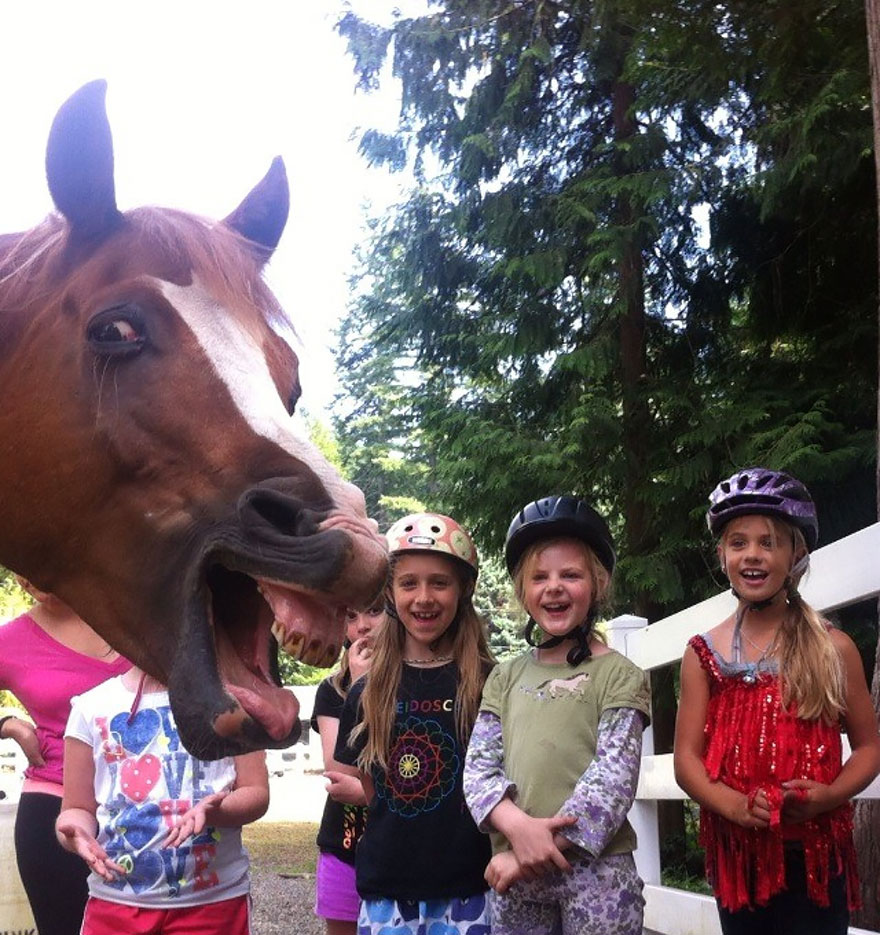 30 Awesome Photo Bombs 