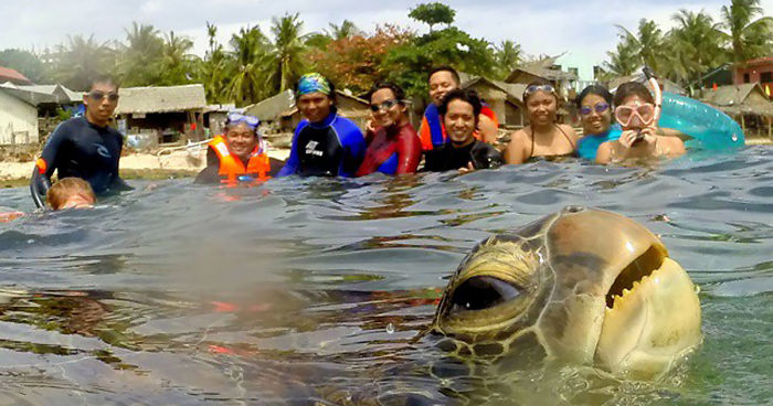 30 Awesome Photo Bombs 