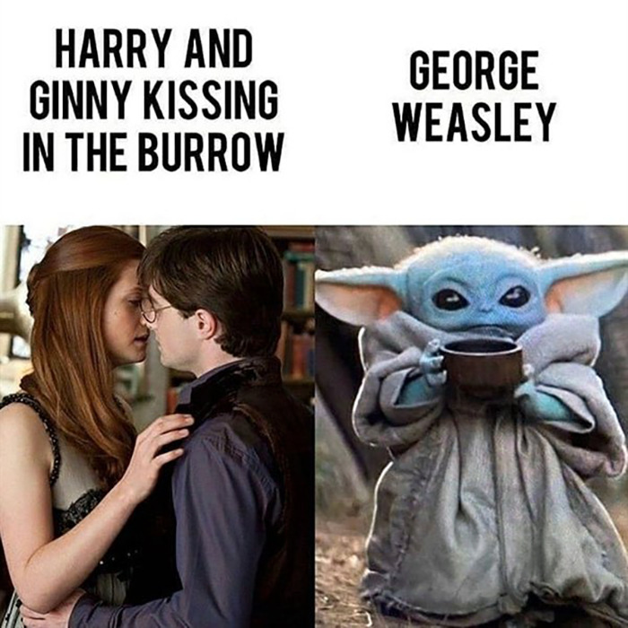 20 Funny Harry Potter Memes You Must See 