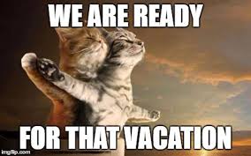  20 Of The Funniest Summer Holiday Pet Pictures
