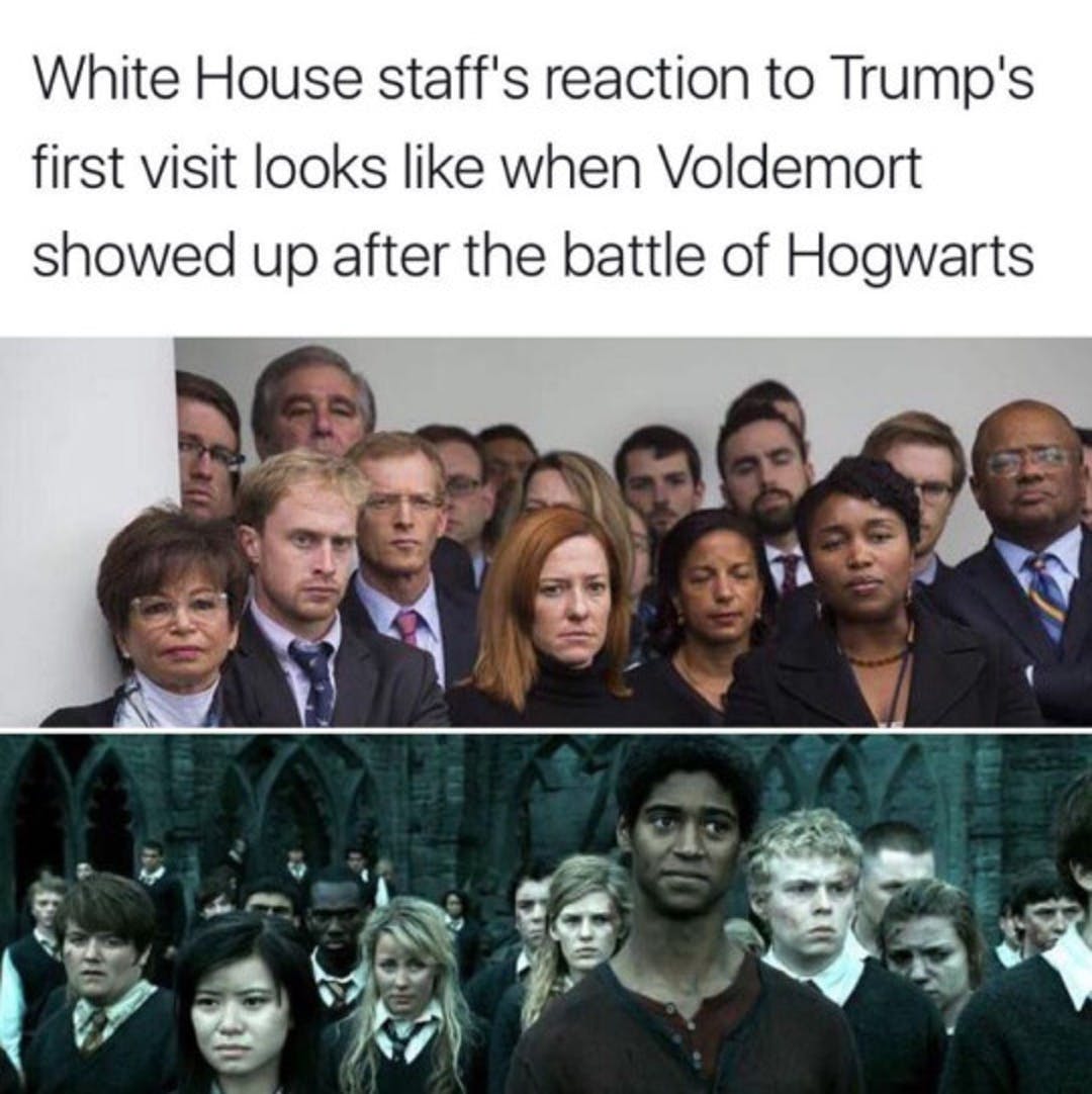 20 Funny Harry Potter Memes You Must See 