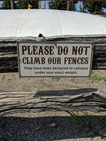 15 Funny Signs To Laugh At And Share With Friends 