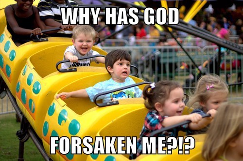 15 Funny Amusement Park Memes