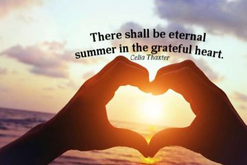 20 Inspirational Summer Holiday Quotes