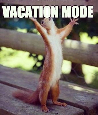 20 Of The Funniest Summer Holiday Pet Pictures