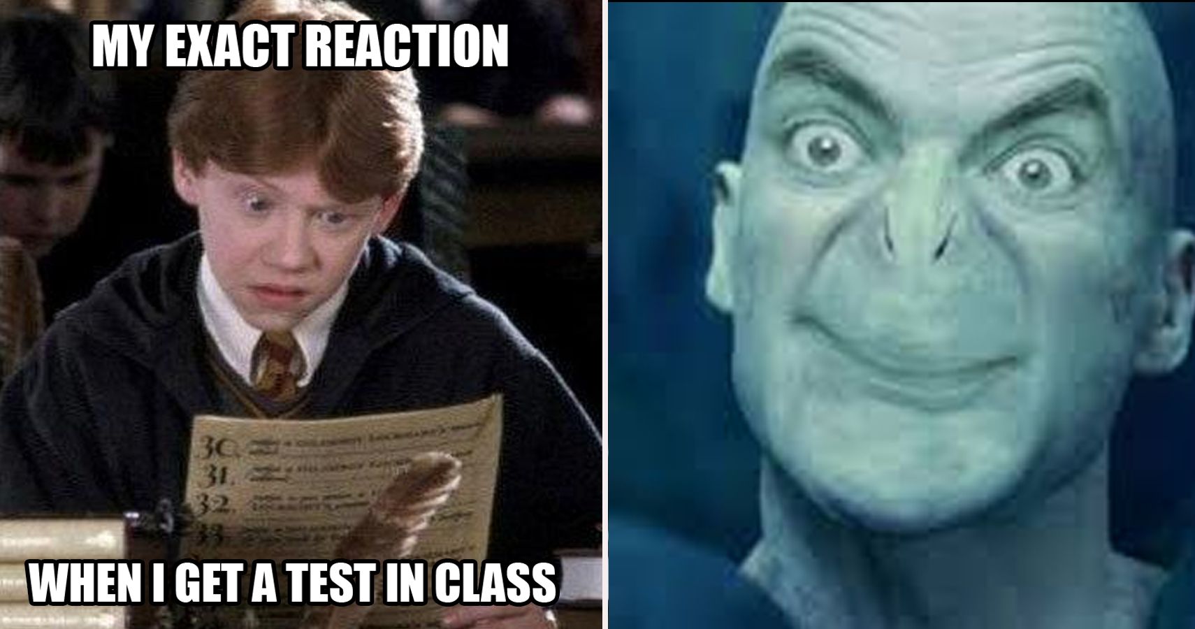 20 Funny Harry Potter Memes You Must See 