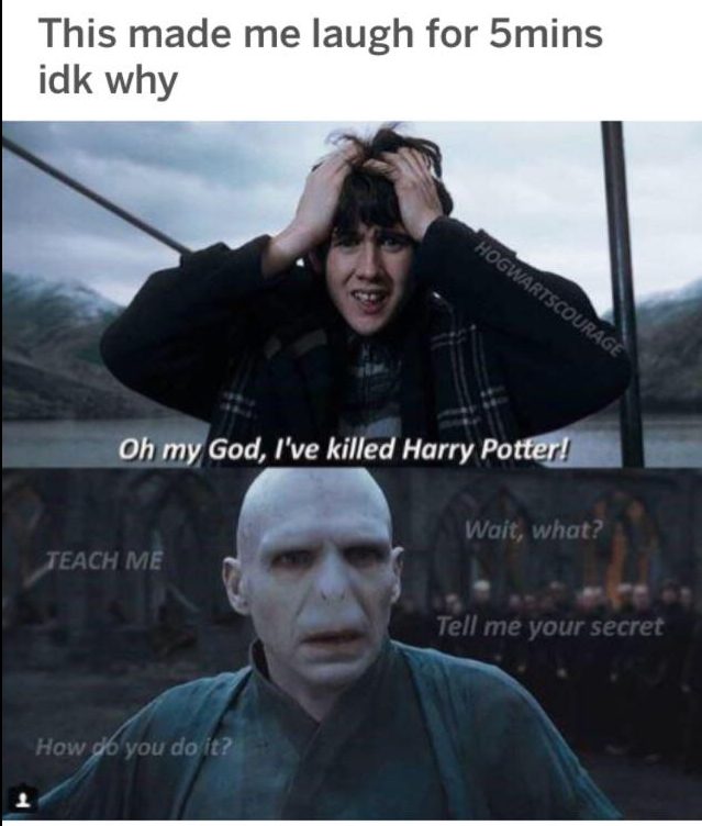20 Funny Harry Potter Memes You Must See 