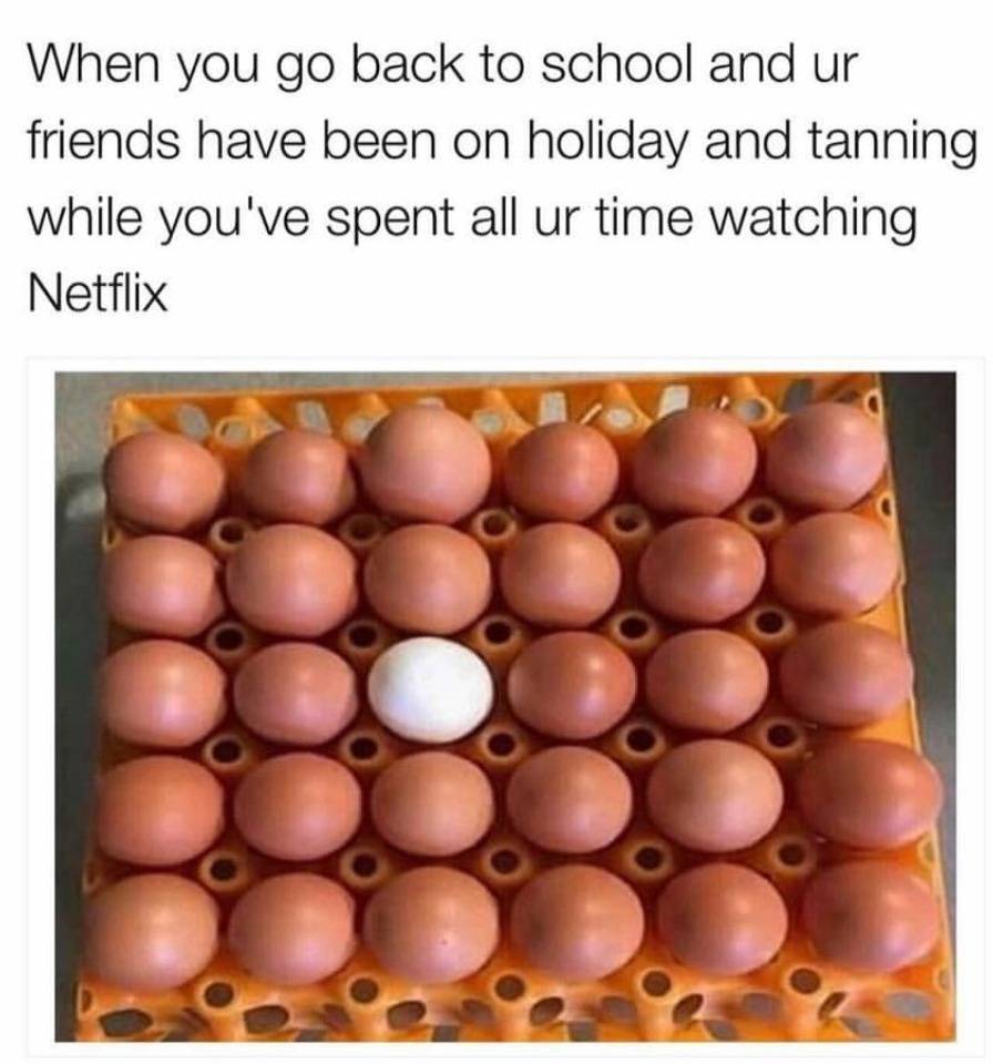 20 Funny Summer Friendship Memes