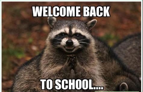 20 Funny Back To School Memes For Students 