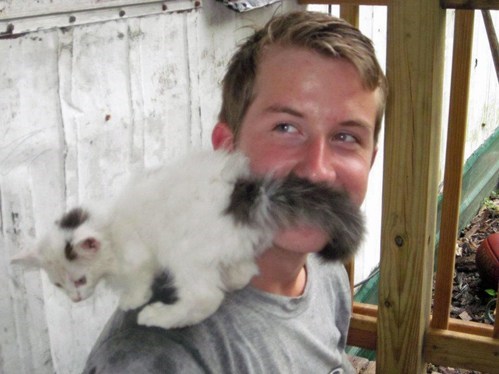 20 Epic Photo Bombs 