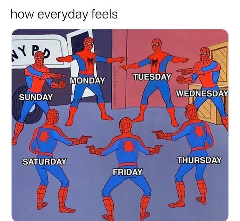 20 Of The Funniest Memes That Sum Up 2020 