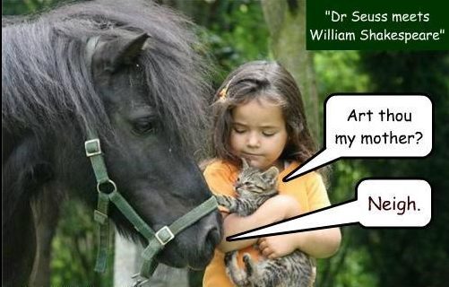 20 Excellent Puns To Brighten Up Your Day