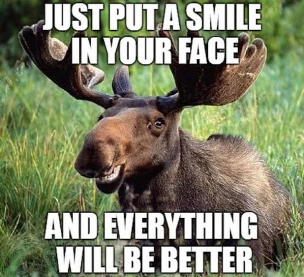31 Funny Inspirational Pictures To Uplift You