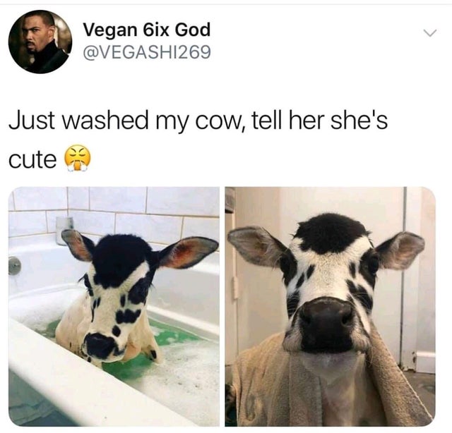 30 Cute And Wholesome Memes To Make You Feel Good