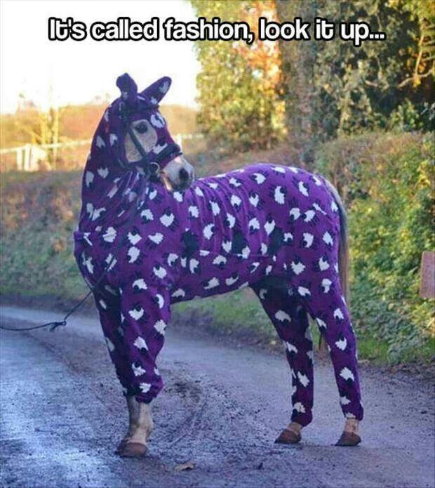 30 Amazing Memes About Pets And Animals 
