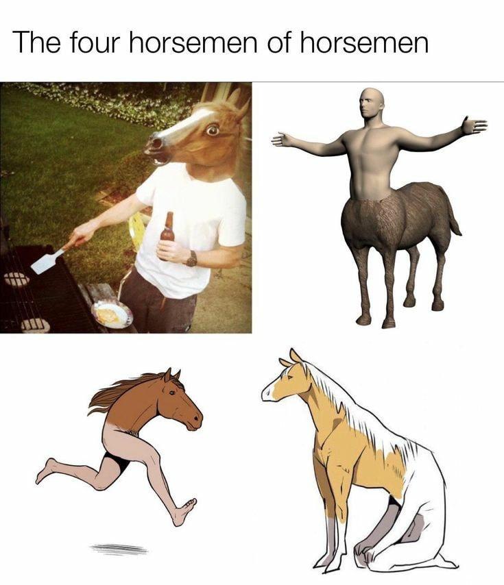 30 Amazing Memes About Pets And Animals 