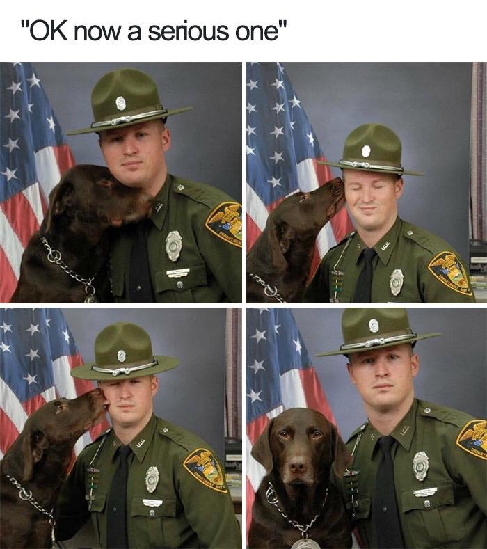 30 Extremely Cute Dog Memes To Start Your Day With