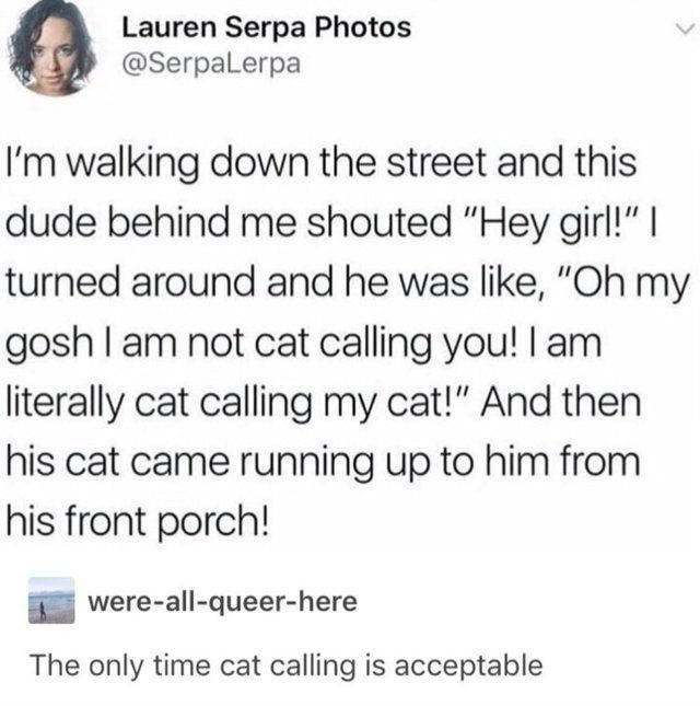 30 Great Cat Memes For All The Cat Lovers Out There 
