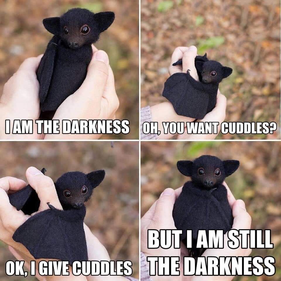 30 Amazing Memes About Pets And Animals 