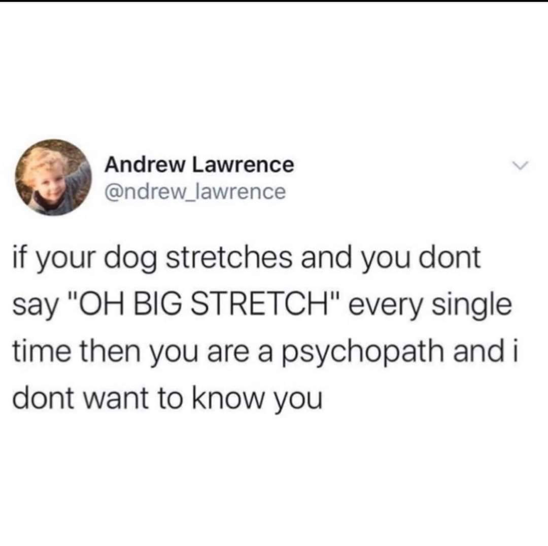 30 Amazing Memes About Pets And Animals 