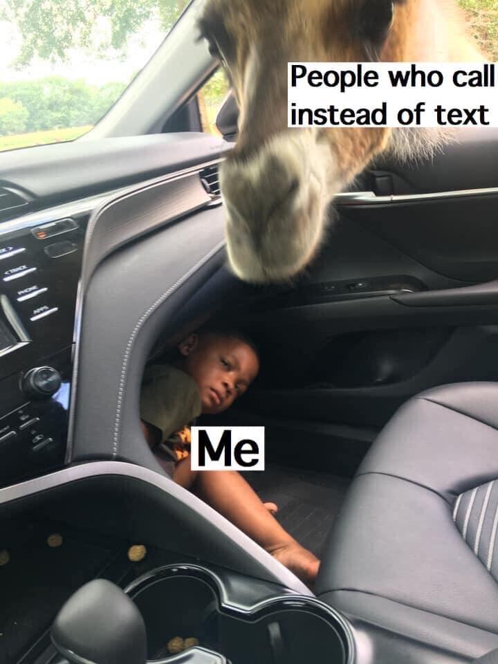30 Amazing Memes About Pets And Animals 
