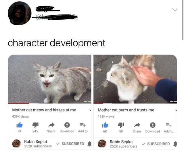 30 Great Cat Memes For All The Cat Lovers Out There 