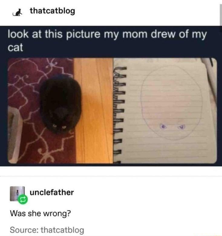 30 Great Cat Memes For All The Cat Lovers Out There 